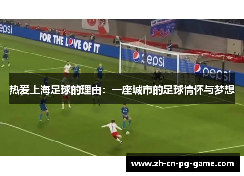 热爱上海足球的理由：一座城市的足球情怀与梦想